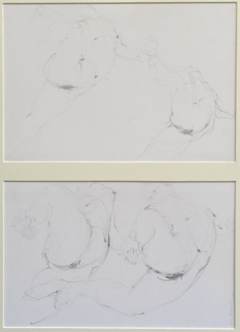 Mine de Plomb 60×80 cm